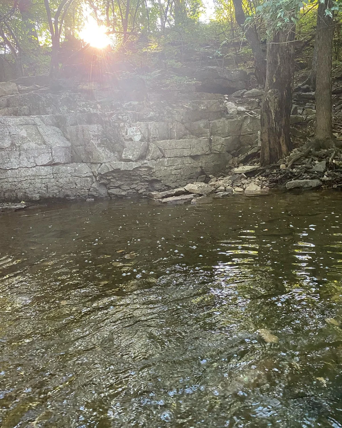 Sunlight over a quiet woodland stream
